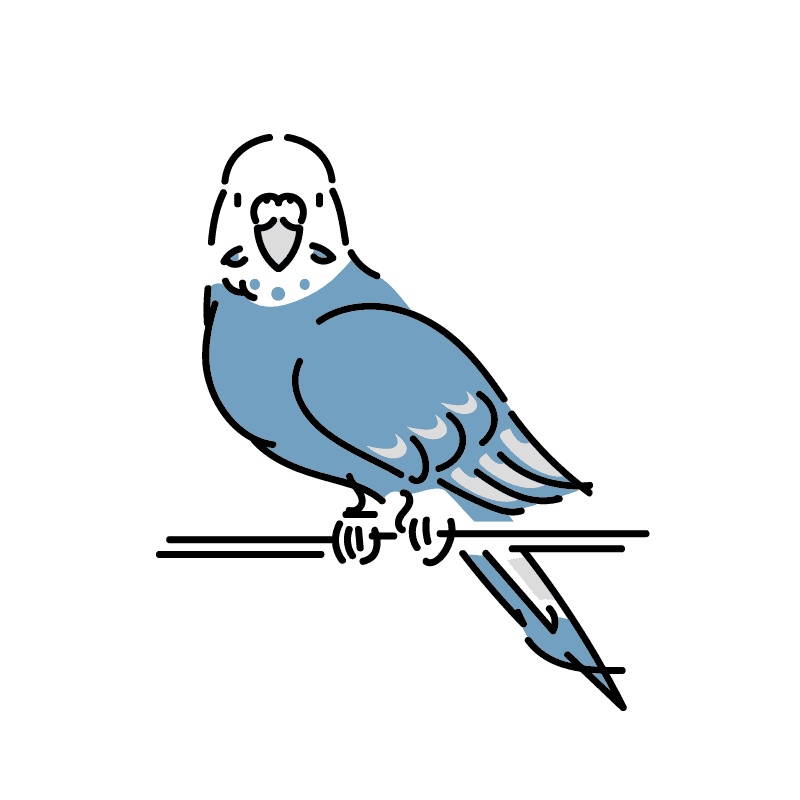 迷子鳥