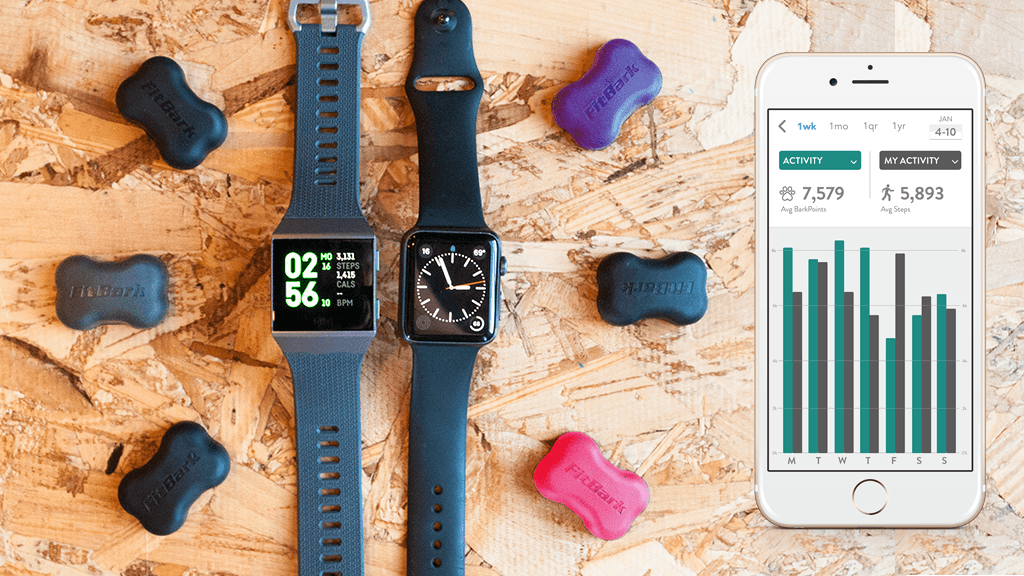 愛犬の健康管理に!犬用ウェアラブルデバイス「FitBark」とは